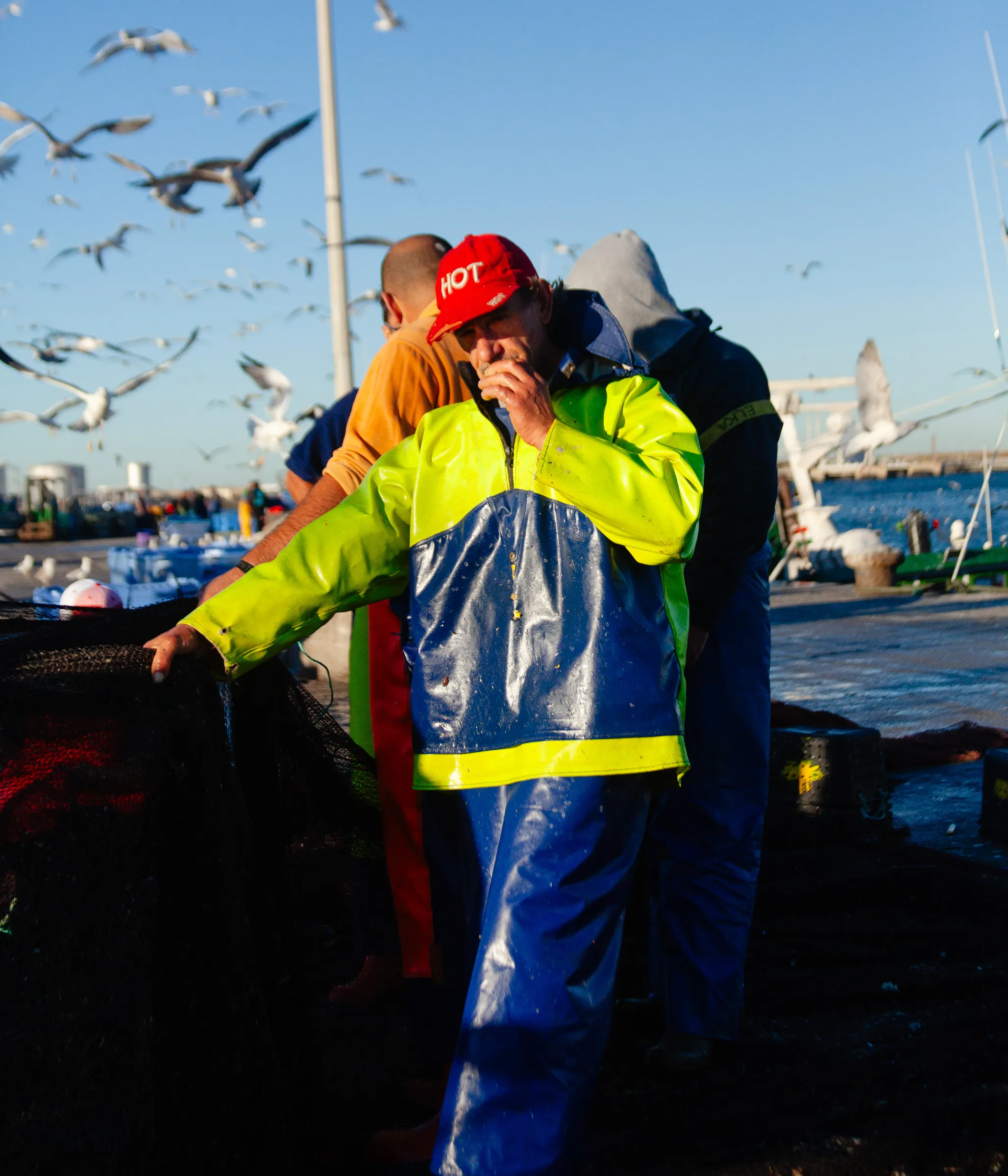 Lota de Matosinhos 10