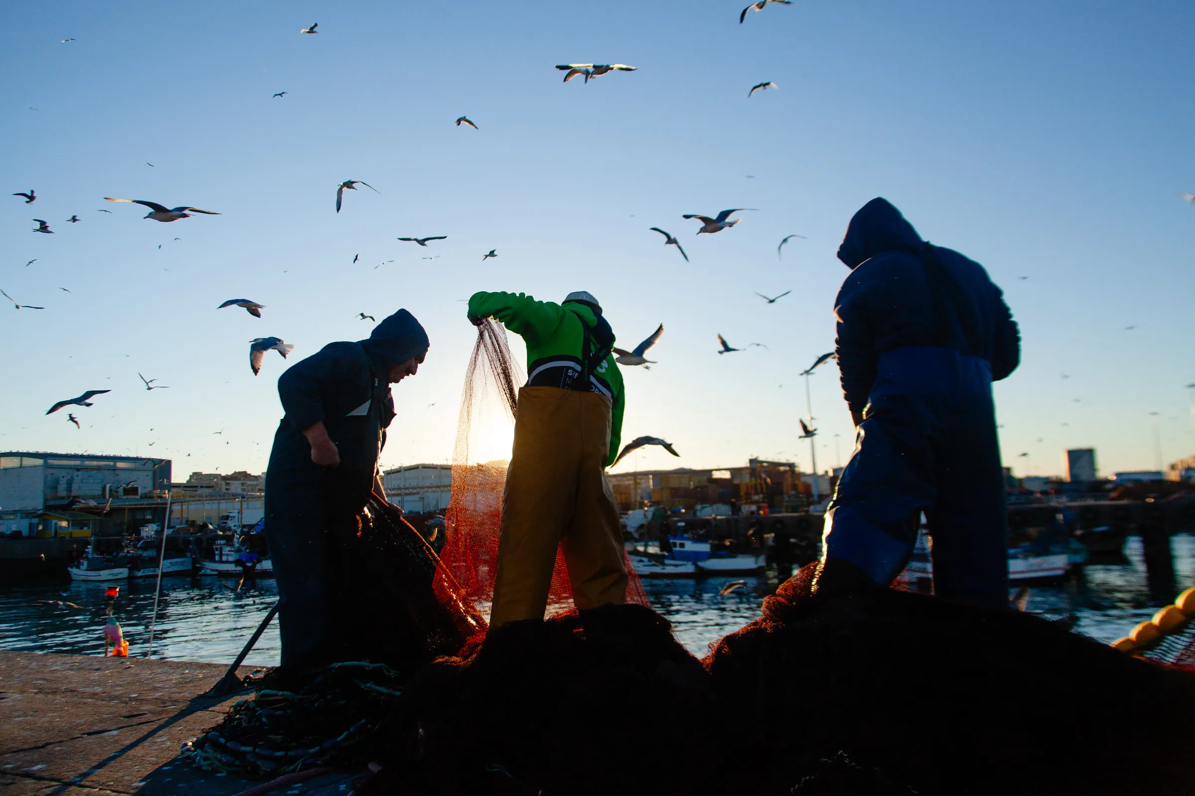 Lota de Matosinhos 3