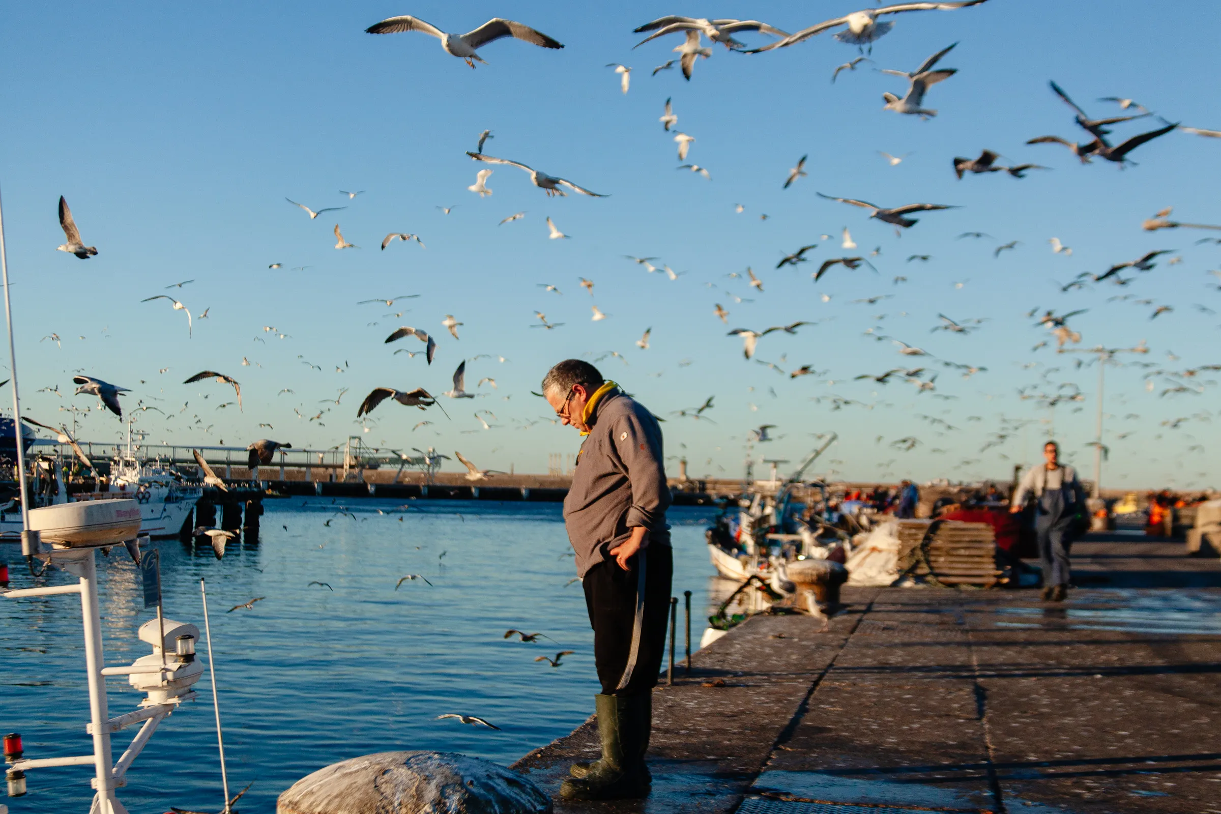 Lota de Matosinhos 4